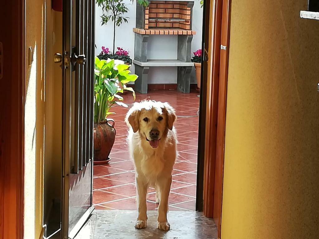 Casa Rural La Herencia Alía Zewnętrze zdjęcie